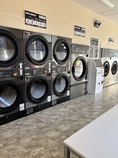 COIN LAUNDRY BLUE TEDDY(コインランドリー ブルーテディ)