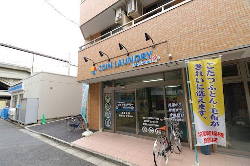 ロレホロイ